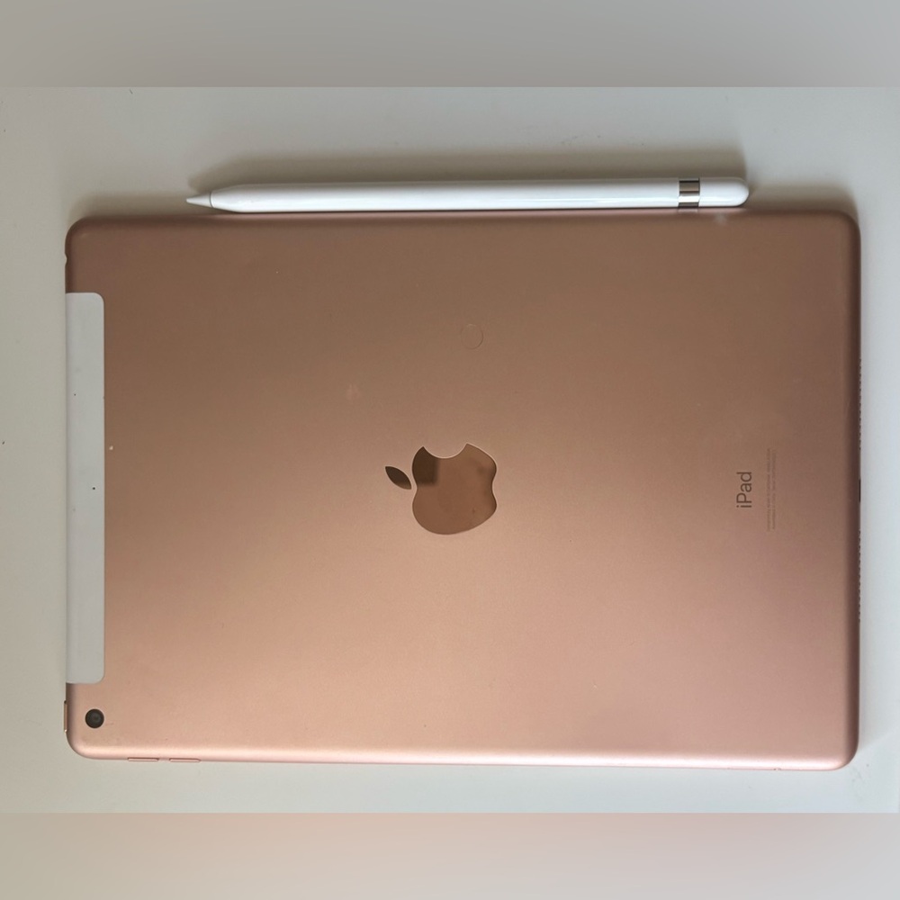 2019 Ipad with old gen apple pen